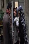 پانته آ پناهی ه
